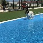 Lobos Panzió