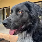 Lobos Bed & Breakfast Lliber