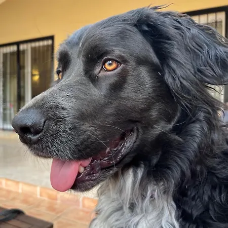 Lobos Bed and breakfast Lliber