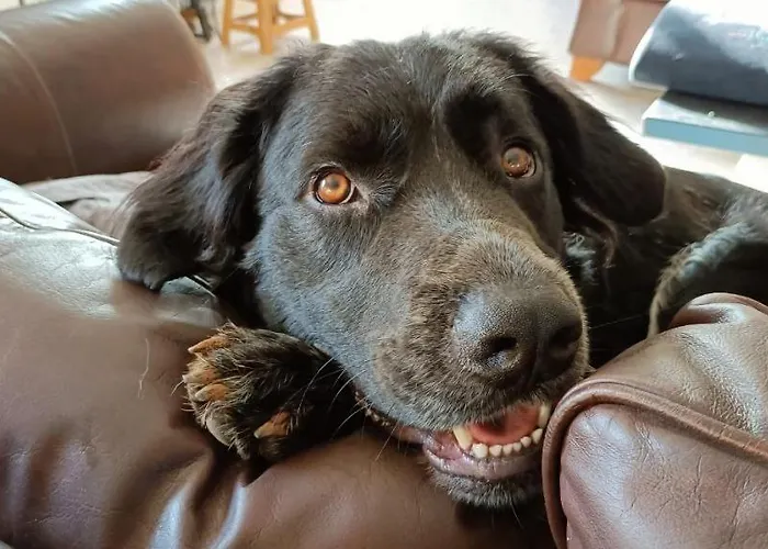 Bed and breakfast Lobos