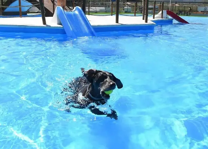 Bed and breakfast Lobos Lliber
