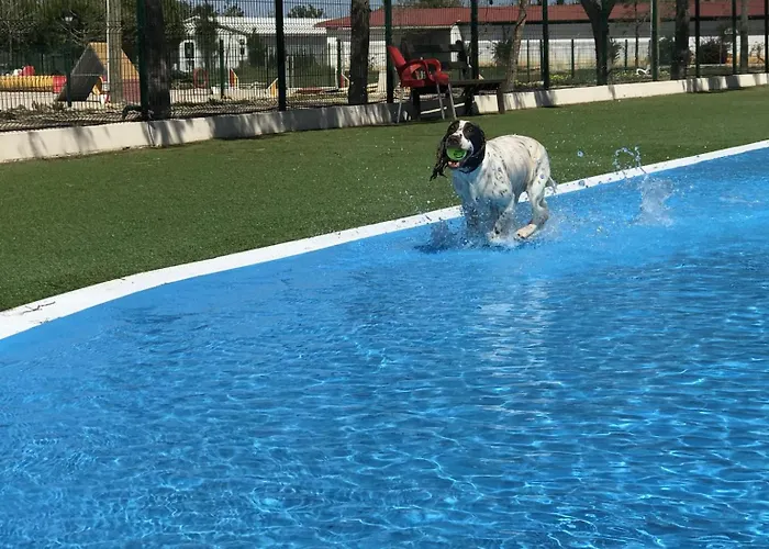 Lobos Alojamento de Acomodação e Pequeno-almoço