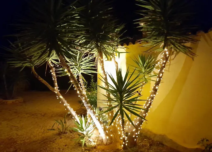 Bed and breakfast Lobos