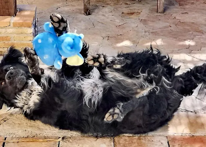 Lobos Bed and breakfast 3*