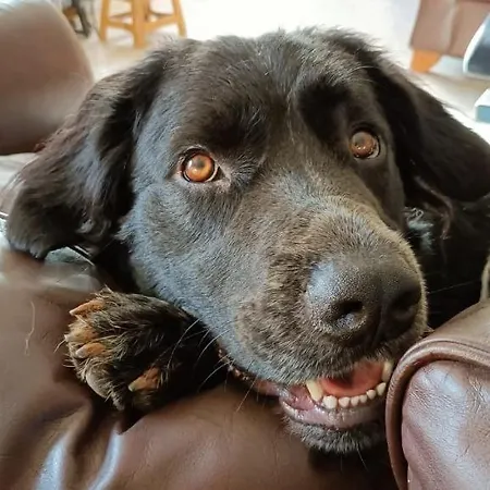 Bed & Breakfast Lobos