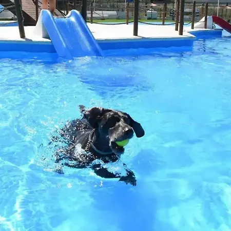 Bed & Breakfast Lobos Lliber