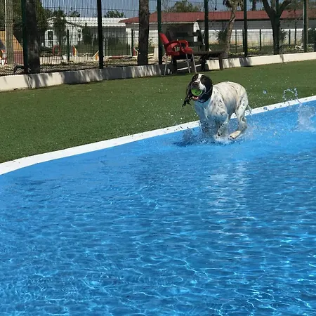 Lobos לינה וארוחת בוקר